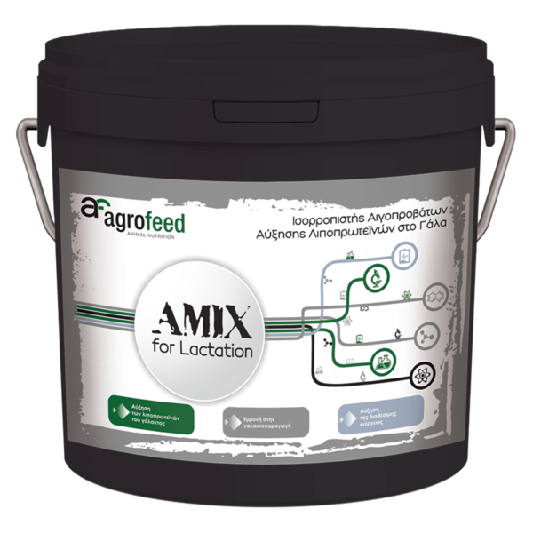 AMix for Lactation 10kg_front